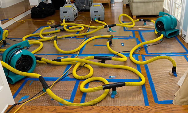 Professional Structural Drying And Dehumidification technician working in Woodland, MI